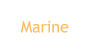 Marine